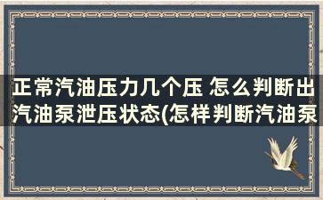 正常汽油压力几个压 怎么判断出汽油泵泄压状态(怎样判断汽油泵泄压)